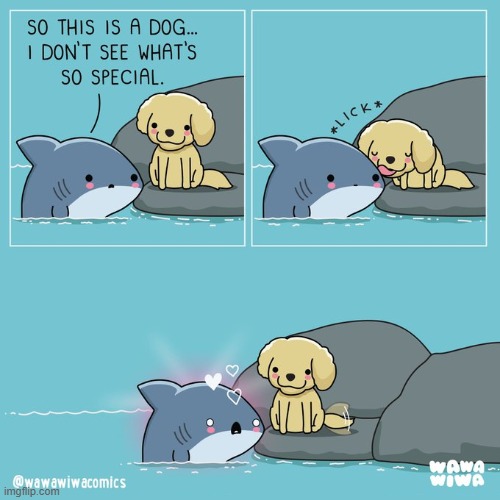 image tagged in shark,dog,special,lick,love,lovestruck | made w/ Imgflip meme maker