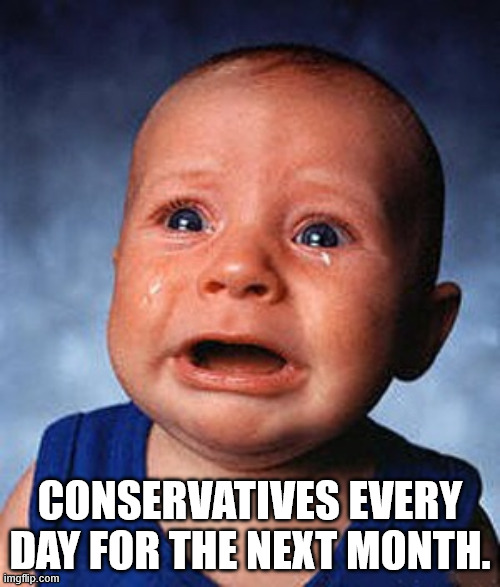 Happy Pride everyone. | Conservatives every day for the next month. | image tagged in crying baby,conservatives,lgbtq,homophobic | made w/ Imgflip meme maker