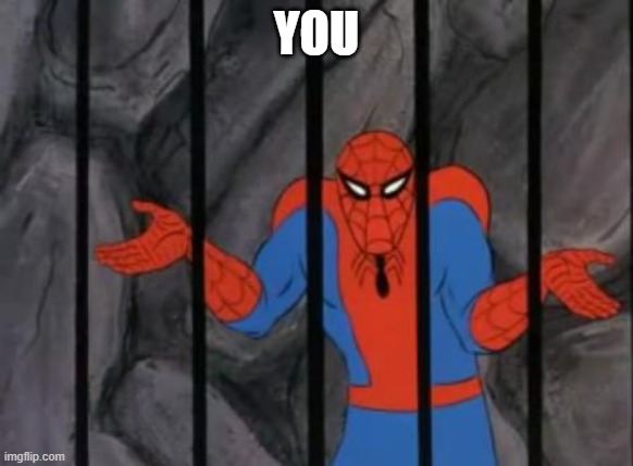 spiderman jail | You | image tagged in spiderman jail | made w/ Imgflip meme maker