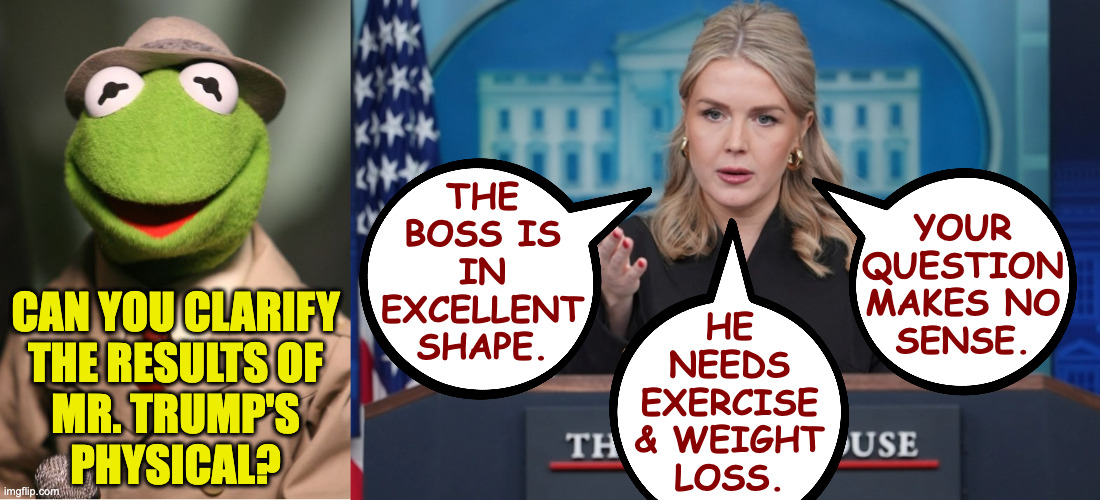 Person woman man camera TV. | the
boss is
in
excellent
shape. your
question
makes no
sense. can you clarify
the results of
mr. trump's
physical? he
needs
exercise
& weight
loss. | image tagged in kermit reporter,memes,person woman man camera tv,paging doctor leavitt | made w/ Imgflip meme maker