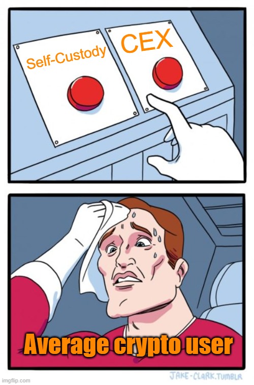 Crypto isn't as decentralized as most people think.  If your funds are sitting on an exchange, someone else controls the keys. | CEX; Self-Custody; Average crypto user | image tagged in memes,two buttons | made w/ Imgflip meme maker