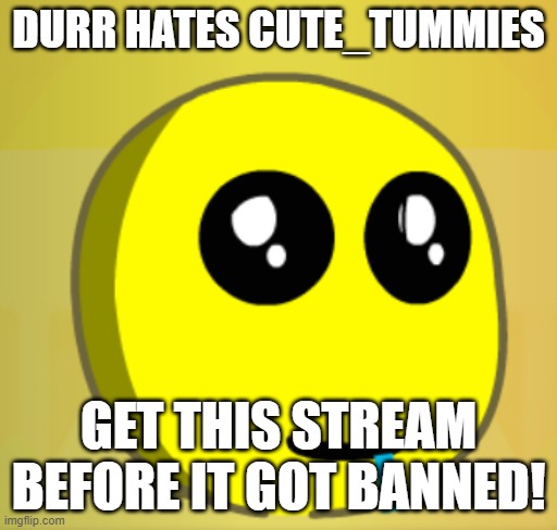 BAN cute_tummies NOW! | Durr hates Cute_tummies; GET THIS STREAM BEFORE IT GOT BANNED! | image tagged in gatcha durr | made w/ Imgflip meme maker