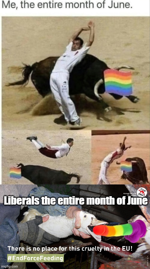 Liberals the entire month of June | made w/ Imgflip meme maker