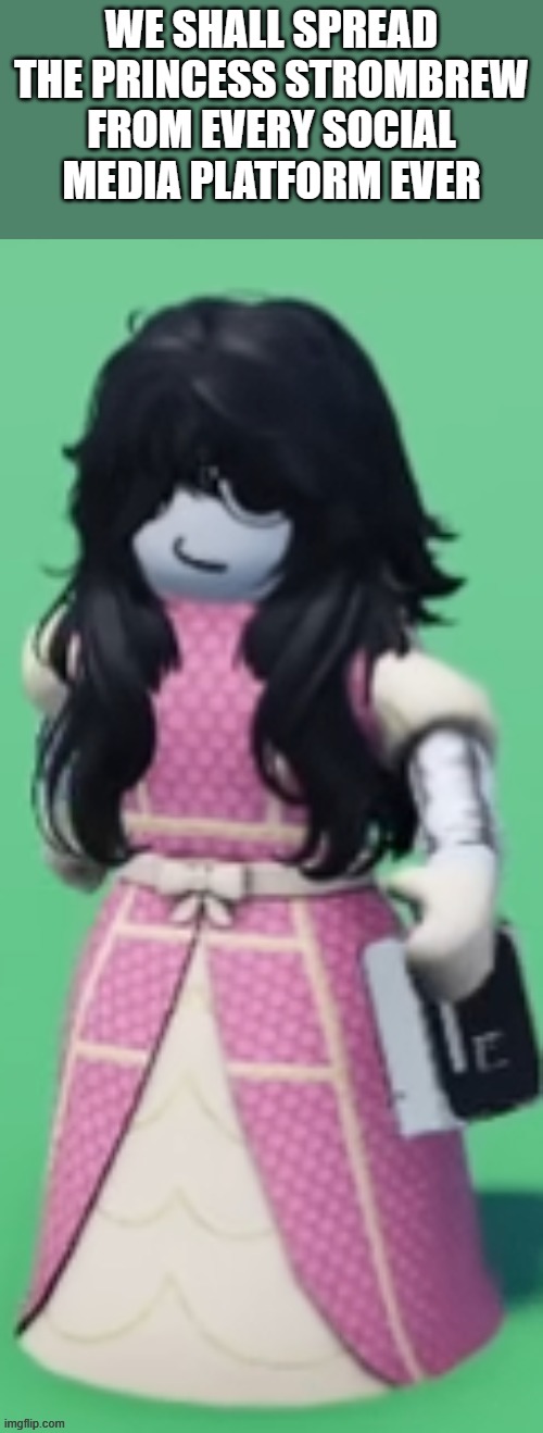 SPREAD THE IMAGE | we shall spread the princess strombrew from every social media platform ever | image tagged in princess strombrew,strombrew is princess,princess,strombrew,oh wow are you actually reading these tags | made w/ Imgflip meme maker
