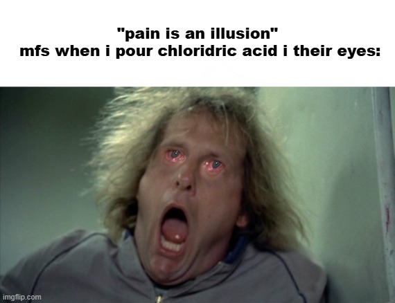 you'll need a ophtalmologist | "pain is an illusion"
 mfs when i pour chloridric acid i their eyes: | image tagged in memes,scary harry,pain | made w/ Imgflip meme maker