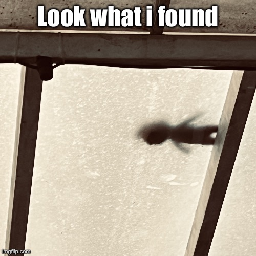 IMG_2416.jpeg | Look what i found | image tagged in img_2416 jpeg,doll | made w/ Imgflip meme maker