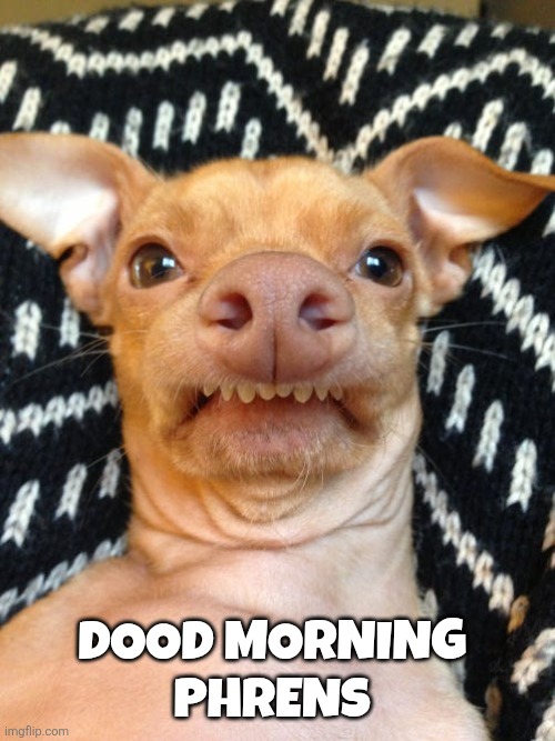 Good Morning memes | Dood Morning 
Phrens | image tagged in ghows-pj-df2fdaaa-54a9-4f1f-82d8-7e4a17516775-a20dddf7 jpeg | made w/ Imgflip meme maker