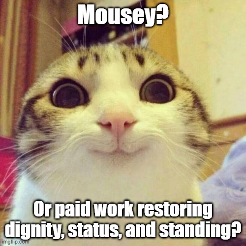 Smiling Cat Meme | Mousey? Or paid work restoring dignity, status, and standing? | image tagged in memes,smiling cat | made w/ Imgflip meme maker