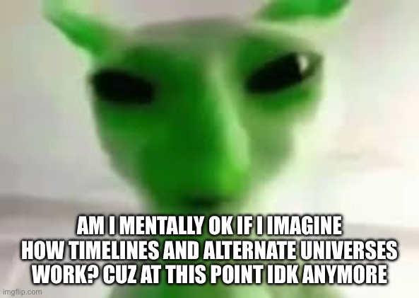 Umm, help | Am I mentally ok if I imagine how timelines and alternate universes work? Cuz at this point idk anymore | image tagged in img_2545 jpeg | made w/ Imgflip meme maker