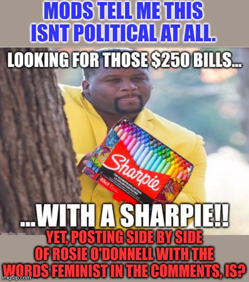 Completely biased mods! | Mods tell me this isnt political at all. Yet, posting side by side of Rosie O'Donnell with the words feminist in the comments, is? | made w/ Imgflip meme maker