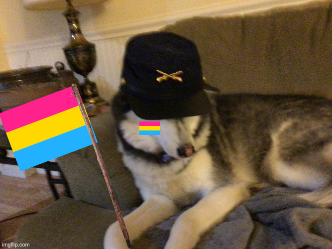 Imagine getting so pissed off just because someone dares to like a different gender than you, couldn't be me:) | image tagged in union husky,pride,pansexual | made w/ Imgflip meme maker