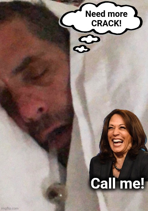 Hunter Biden Cracker Pipe | Need more
CRACK! Call me! | image tagged in hunter biden cracker pipe | made w/ Imgflip meme maker