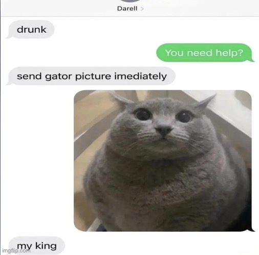 made w/ Imgflip meme maker