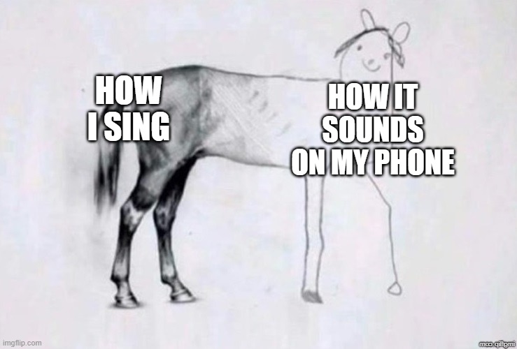 Horse Drawing | how i sing; how it sounds on my phone | image tagged in horse drawing | made w/ Imgflip meme maker