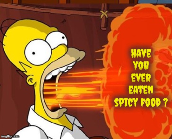 Mouth on fire | Have you ever eaten spicy food ? | image tagged in mouth on fire | made w/ Imgflip meme maker