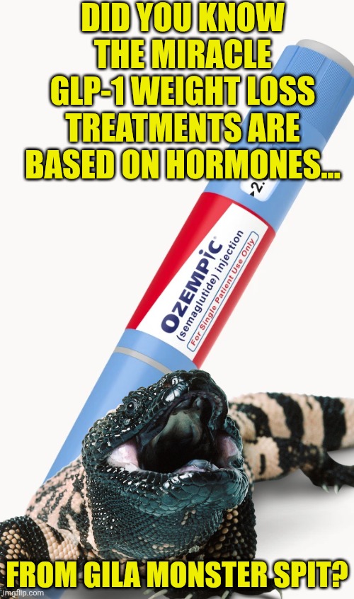 I want to ruin your day and your weight loss journey! | Did you know the miracle GLP-1 weight loss treatments are based on hormones... From Gila Monster spit? | image tagged in ozempic,gross,fun fact,medicine,miracle,reptile | made w/ Imgflip meme maker