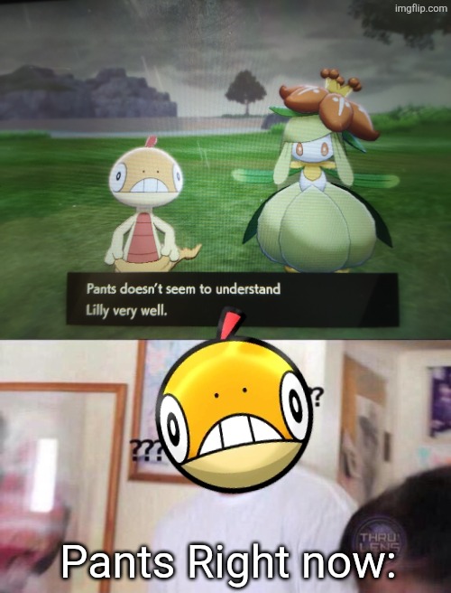 Pants doesn't seem to understand Lilly very well | Pants Right now: | image tagged in black guy confused,pants,lilly,literal meaning pokemon | made w/ Imgflip meme maker