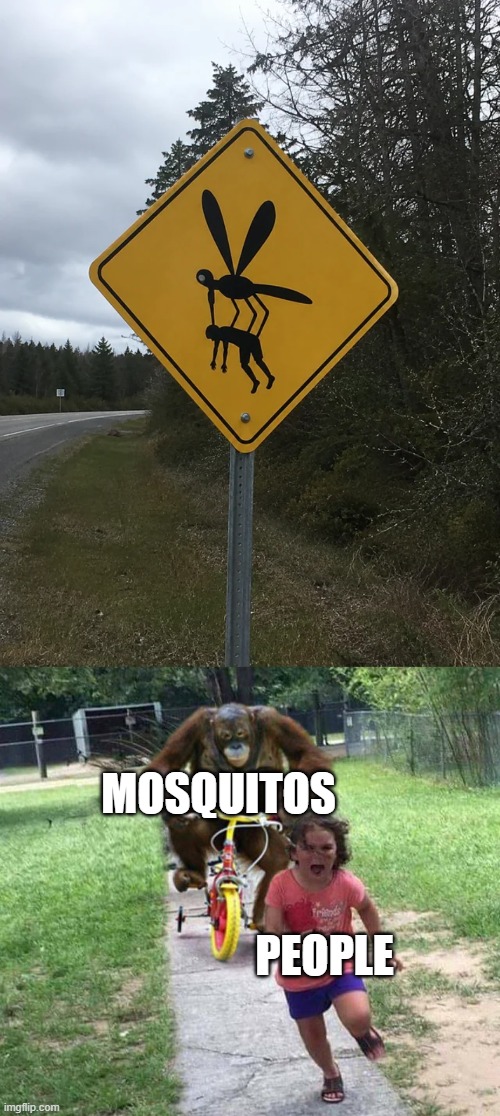 Mosquitos; People | image tagged in run | made w/ Imgflip meme maker
