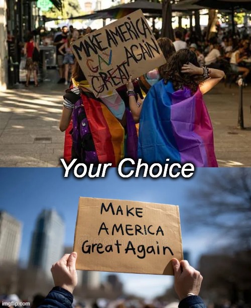 June is Pride Month. July 4th is Pride Day. | Your Choice | image tagged in liberals vs conservatives,america,choices | made w/ Imgflip meme maker