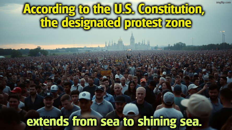 As you'll see on June 14th. | According to the U.S. Constitution, 
the designated protest zone; extends from sea to shining sea. | image tagged in _american crowd to the horizon angry photorealistic style jpeg,the constitution,protest,freedom of speech,first amendment | made w/ Imgflip meme maker