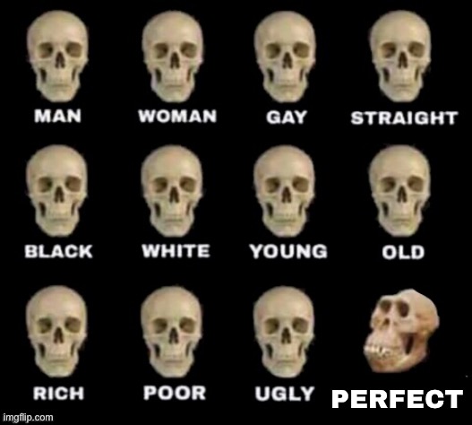 Yes! We finally found the perfect font! Oops, it knocked off Monke from Gorilla Tag, or, Gorillaz Tag! | PERFECT | image tagged in idiot skull,perfect,gorilla tag,gorillaz | made w/ Imgflip meme maker