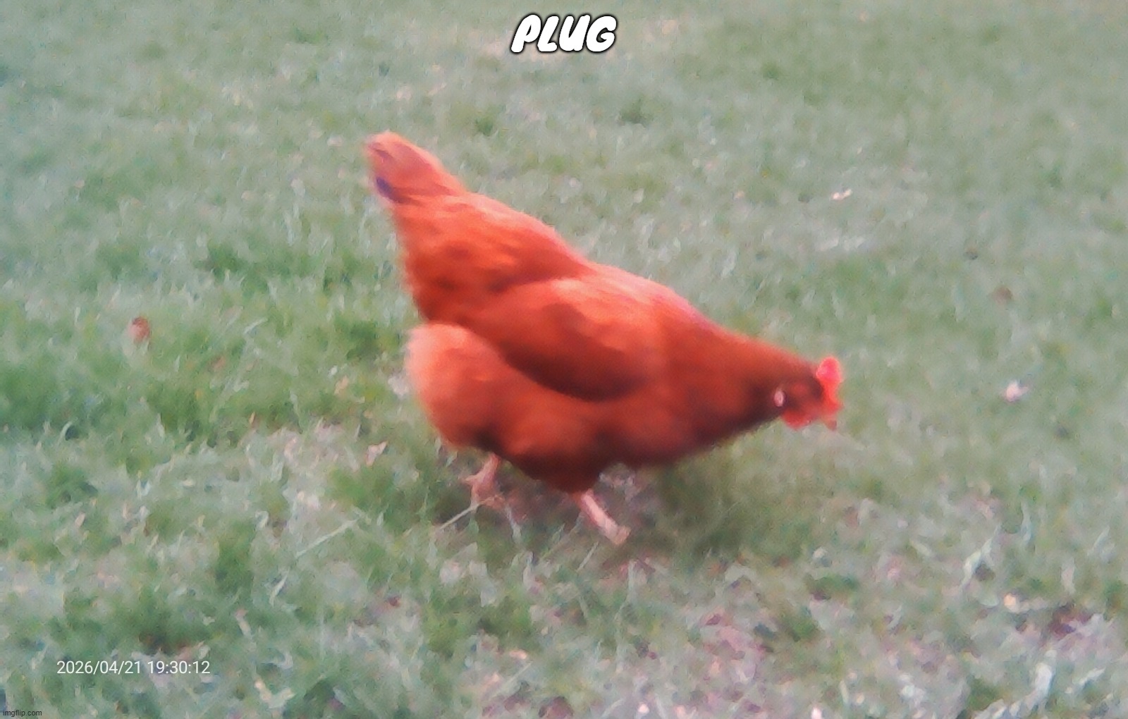 https://imgflip.com/i/at77oz | plug | image tagged in 2026-04-21-19-30-12 jpg | made w/ Imgflip meme maker