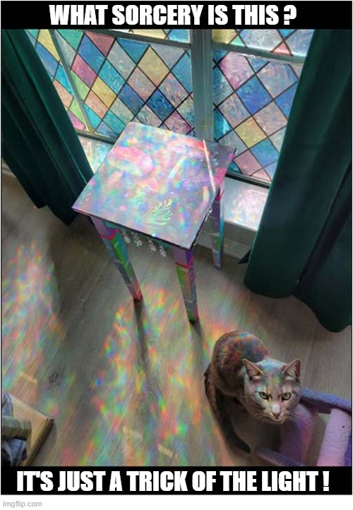 Spectrum | What sorcery is this ? It's just A Trick of the light ! | image tagged in cats,light,spectrum,sorcery | made w/ Imgflip meme maker