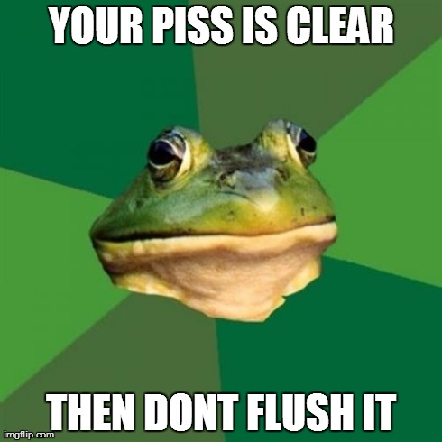 Foul Bachelor Frog Meme | YOUR PISS IS CLEAR THEN DONT FLUSH IT | image tagged in memes,foul bachelor frog | made w/ Imgflip meme maker