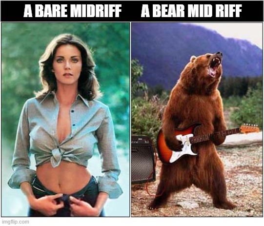 A Nostalgic Play On Words | A Bare Midriff       A Bear Mid Riff | image tagged in nostalgia,play on words,lynda carter,bear,guitar,riff | made w/ Imgflip meme maker