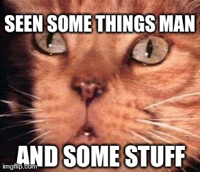 SEEN SOME THINGS MAN AND SOME STUFF | image tagged in alien cat | made w/ Imgflip meme maker