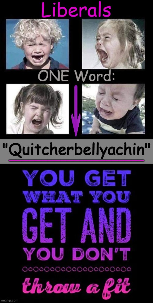 Whine, Rinse, Repeat | Liberals; ONE Word:; "Quitcherbellyachin"; _____________________ | image tagged in liberals,agenda,children,spoiled brats,tantrum,political humor | made w/ Imgflip meme maker