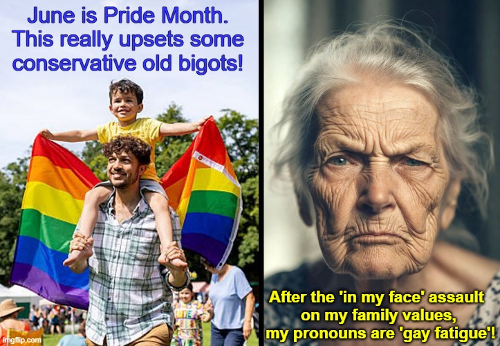 "Happy Pride Month" you conservative old bigots! | June is Pride Month. This really upsets some conservative old bigots! After the 'in my face' assault 
on my family values,
 my pronouns are 'gay fatigue'! | image tagged in pride month,bigots,liberals vs conservatives | made w/ Imgflip meme maker