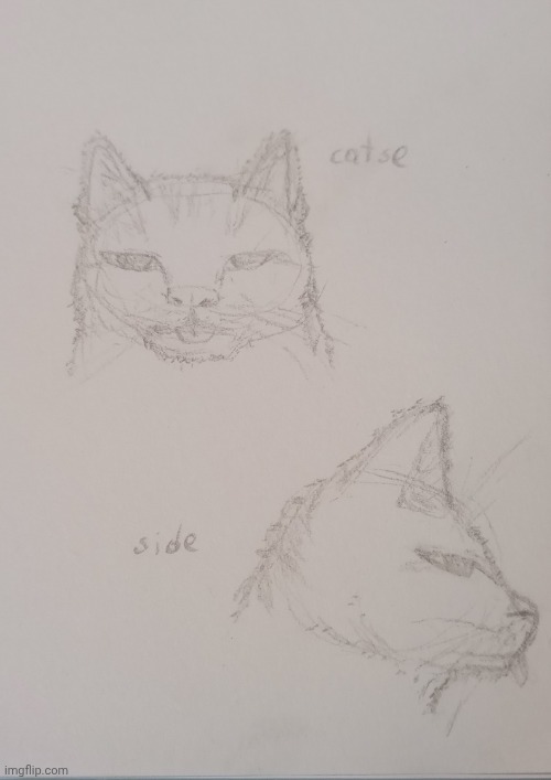 I am now an evil person for creating such an evil creature | image tagged in img_20260523_150406447 jpg,drawing,cat | made w/ Imgflip meme maker