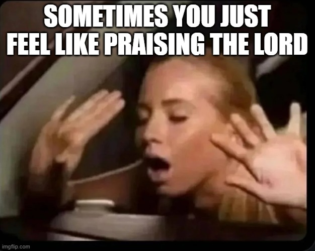Praise the Lord | sometimes you just feel like praising the lord | image tagged in sex jokes | made w/ Imgflip meme maker