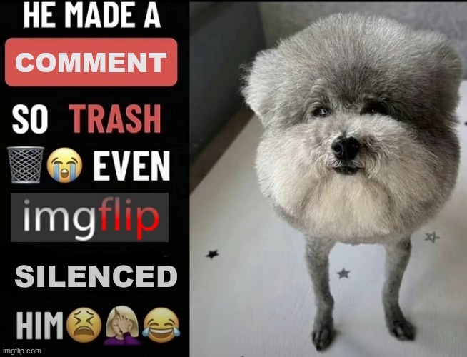 image tagged in he made a comment so trash even imgflip silenced him | made w/ Imgflip meme maker
