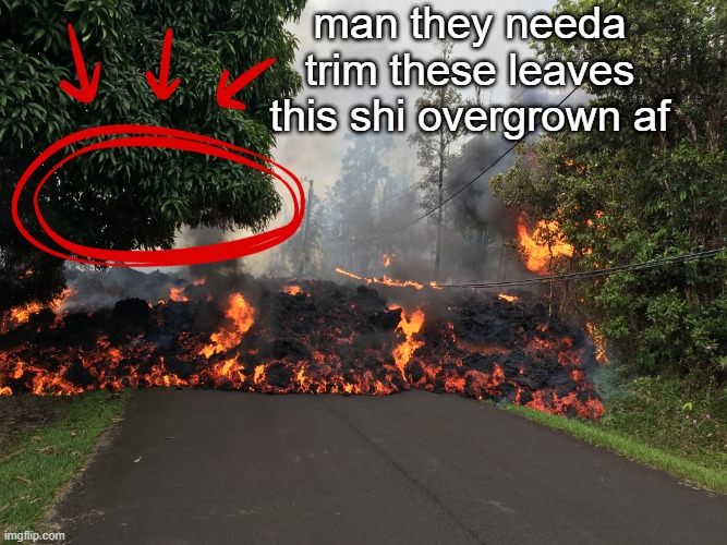 man they needa trim these leaves this shi overgrown af | made w/ Imgflip meme maker