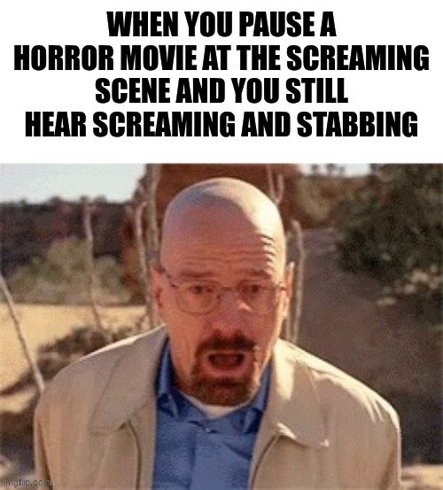 Oh No!! | when you pause a horror movie at the screaming scene and you still hear screaming and stabbing | image tagged in walter white,screaming,horror movie,pause,scene | made w/ Imgflip meme maker
