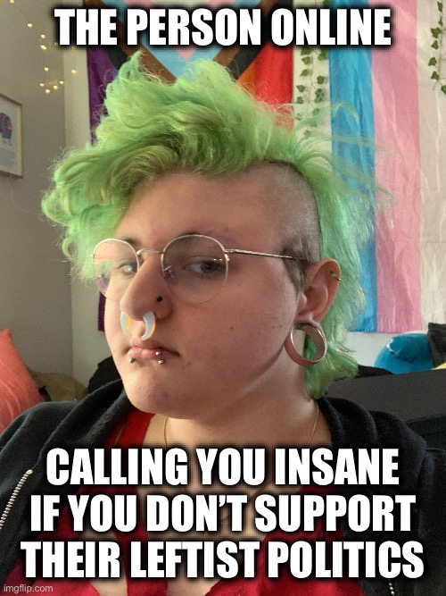Is this thing even human? | The person online; Calling you insane if you don’t support their leftist politics | image tagged in liberal logic,college liberal,democrats,memes,stupid liberals | made w/ Imgflip meme maker