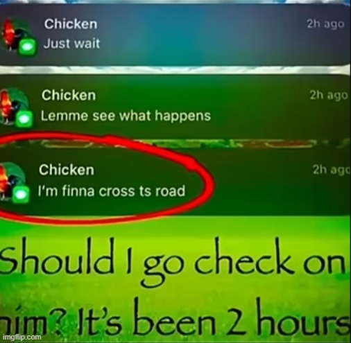 y'all pray for my boy guys | image tagged in chicken | made w/ Imgflip meme maker