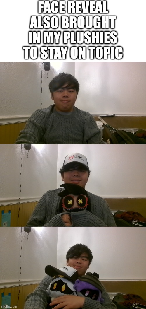 Since I already did a face reveal on my website, I am doing it here for anyone who can't access it | Face reveal
Also brought in my plushies
to stay on topic | made w/ Imgflip meme maker