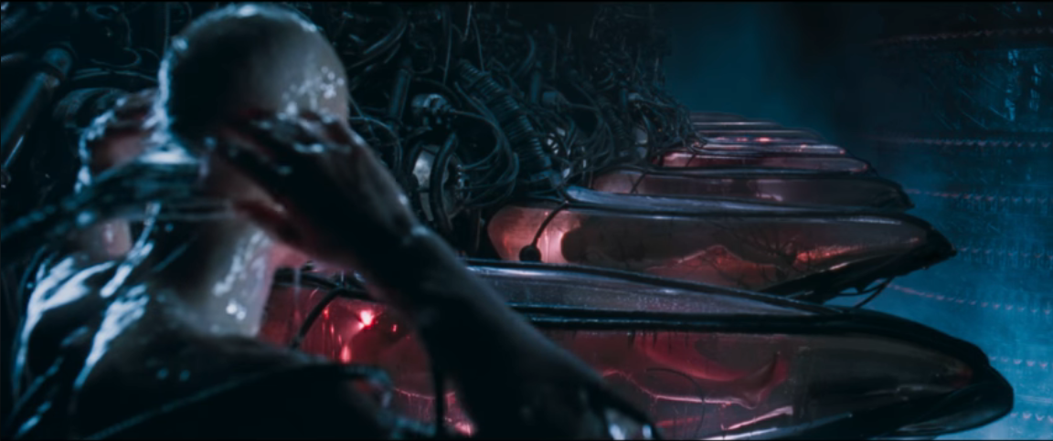 TheMatrix Blank Meme Template