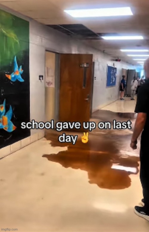 bang bang bang bang bang till i take you down down down down i want you in the ground | image tagged in funny memes,funny,memes,so true,relatable memes | made w/ Imgflip meme maker