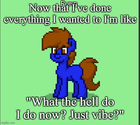 Pony Pump except in Pony Town | Now that I've done everything I wanted to I'm like; "What the hell do I do now? Just vibe?" | image tagged in pony pump except in pony town | made w/ Imgflip meme maker