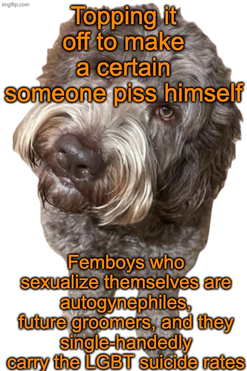 Northers Dog (Transparent) | Topping it off to make a certain someone piss himself; Femboys who sexualize themselves are autogynephiles, future groomers, and they single-handedly carry the LGBT suicide rates | image tagged in northers dog transparent | made w/ Imgflip meme maker