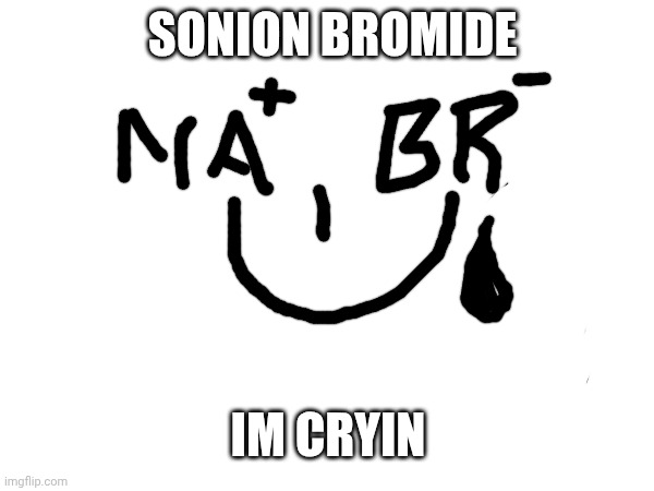 Sonion | Sonion bromide; Im cryin | image tagged in science,static,reactions | made w/ Imgflip meme maker