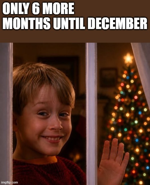 6 More Months Until December | only 6 more months until december | image tagged in december,home alone,macaulay culkin,christmas,funny,memes | made w/ Imgflip meme maker