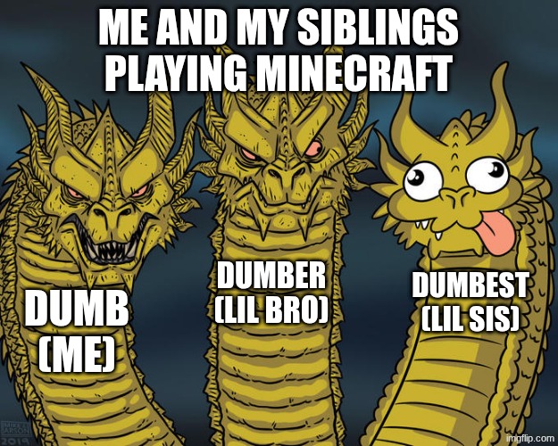 Three-headed Dragon | me and my siblings playing minecraft; dumber (lil bro); dumbest (lil sis); dumb (me) | image tagged in three-headed dragon | made w/ Imgflip meme maker