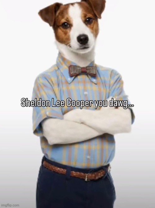 image tagged in sheldon-lee-cooper-you-dawg-v0-e01iazrlfr2h1 jpg | made w/ Imgflip meme maker