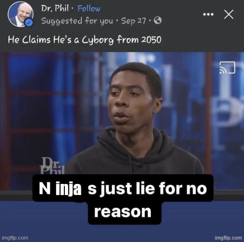 Ns Just Lie For No Reason | inja | image tagged in ns just lie for no reason | made w/ Imgflip meme maker