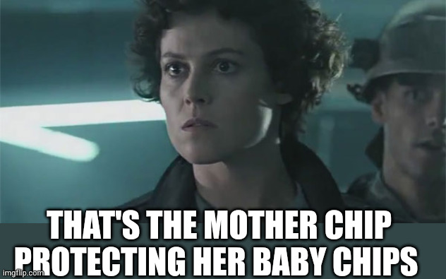 Ripley Aliens | That's the Mother chip protecting her baby chips | image tagged in ripley aliens | made w/ Imgflip meme maker